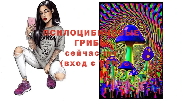 COCAINE Бородино