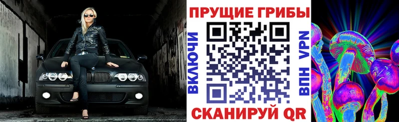 Псилоцибиновые грибы мицелий  Чебоксары 